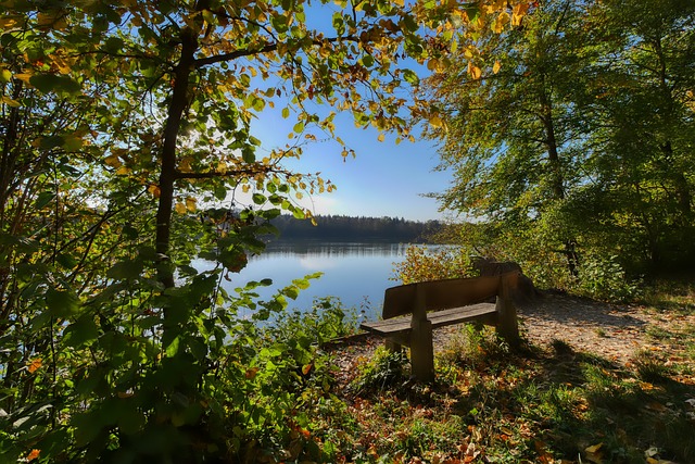 媒体：因揭露足协造假丑闻，马来西亚记者遇袭引发社会恐慌